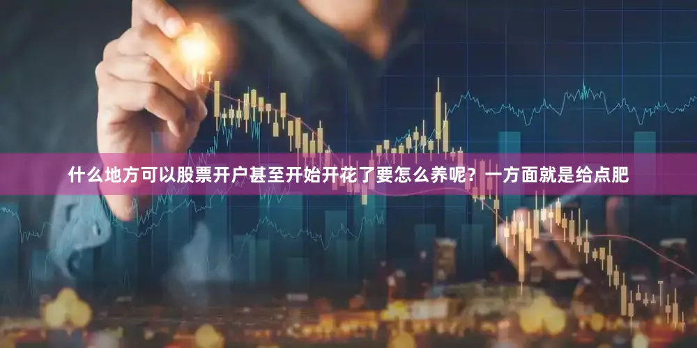 什么地方可以股票开户甚至开始开花了要怎么养呢？一方面就是给点肥