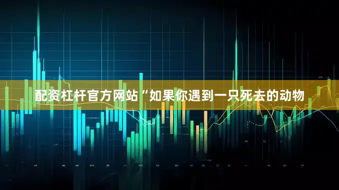配资杠杆官方网站“如果你遇到一只死去的动物