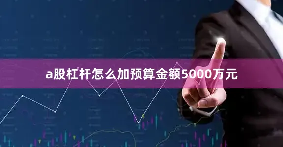 a股杠杆怎么加预算金额5000万元