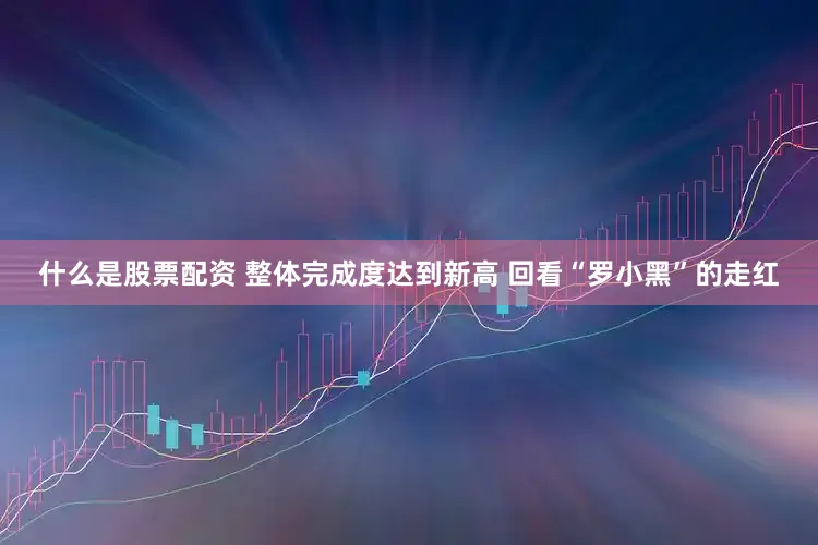 什么是股票配资 整体完成度达到新高 回看“罗小黑”的走红