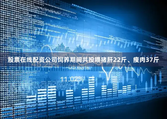 股票在线配资公司饲养期间共投喂猪肝22斤、瘦肉37斤