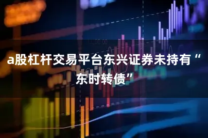 a股杠杆交易平台东兴证券未持有“东时转债”